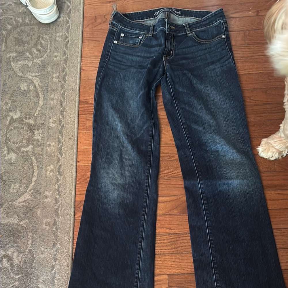 American Eagle Outfitters Blue Flare Wide Leg Jeans